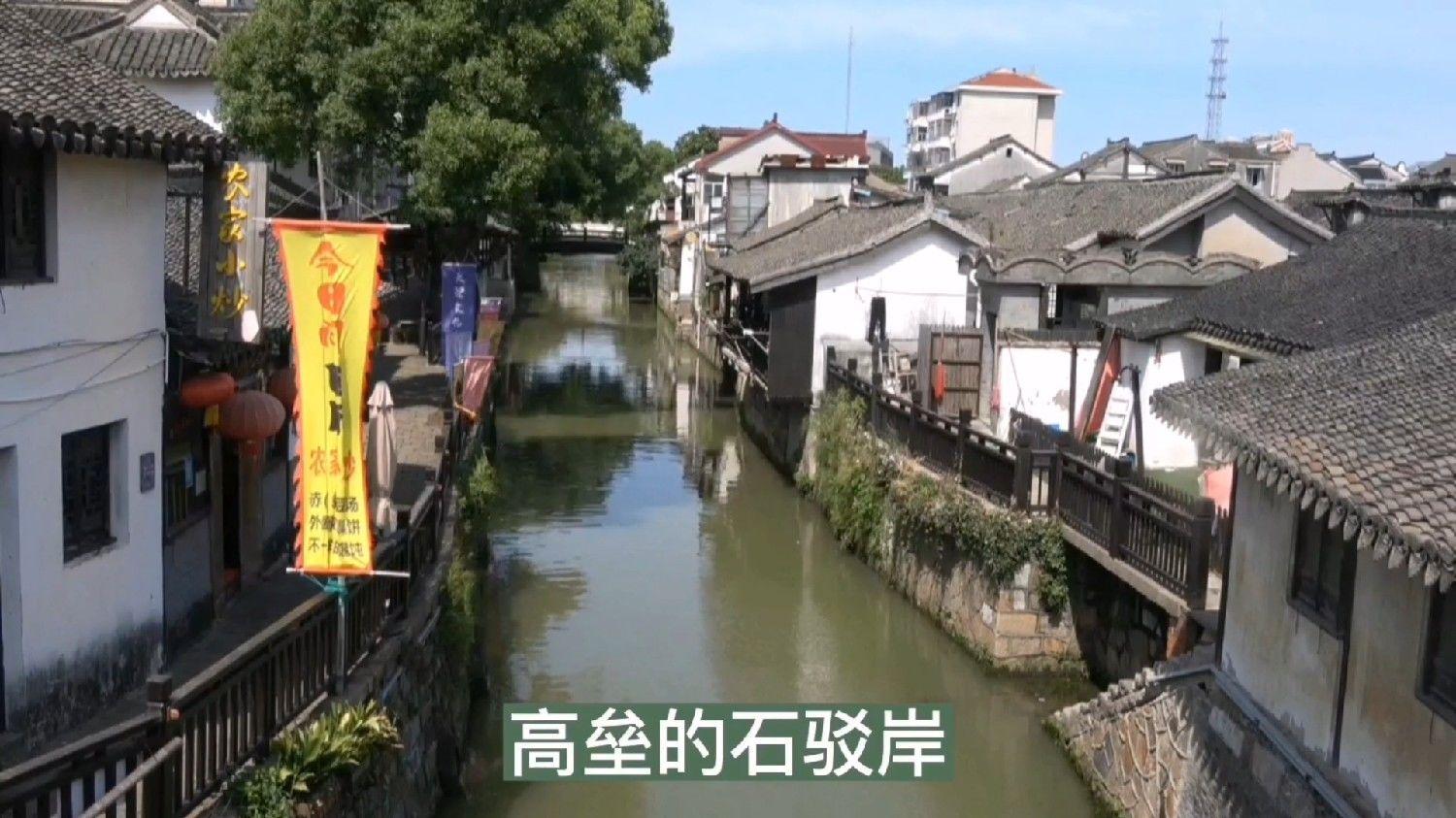 “假”有所托